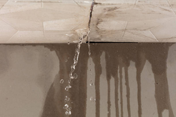 Professional Water Damage Repair technician working in New Holstein, WI